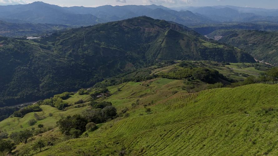 Lote en venta en Santagueda, Manizales, 50000 m² · foto 11 de 16
