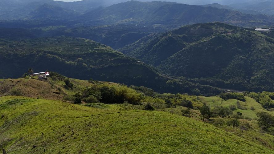 Lote en venta en Santagueda, Manizales, 50000 m² · foto 12 de 16