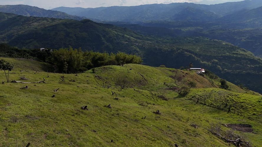 Lote en venta en Santagueda, Manizales, 50000 m² · foto 13 de 16
