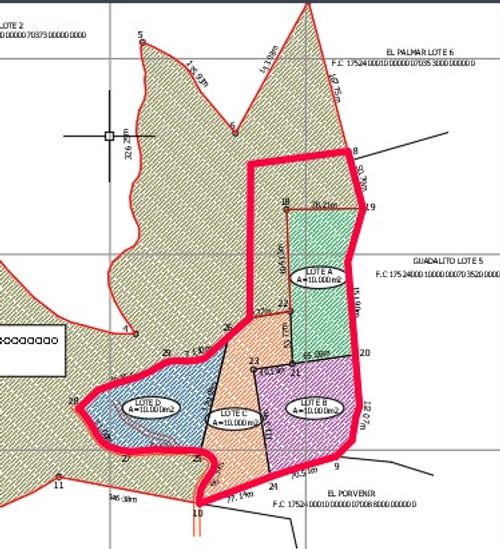 Lote en venta en Santagueda, Manizales, 50000 m² · foto 16 de 16