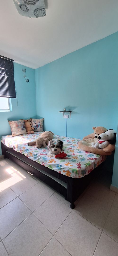 Apartamento de 3 alcobas en venta en Niquia, Bello, 59 m² · foto 10 de 24