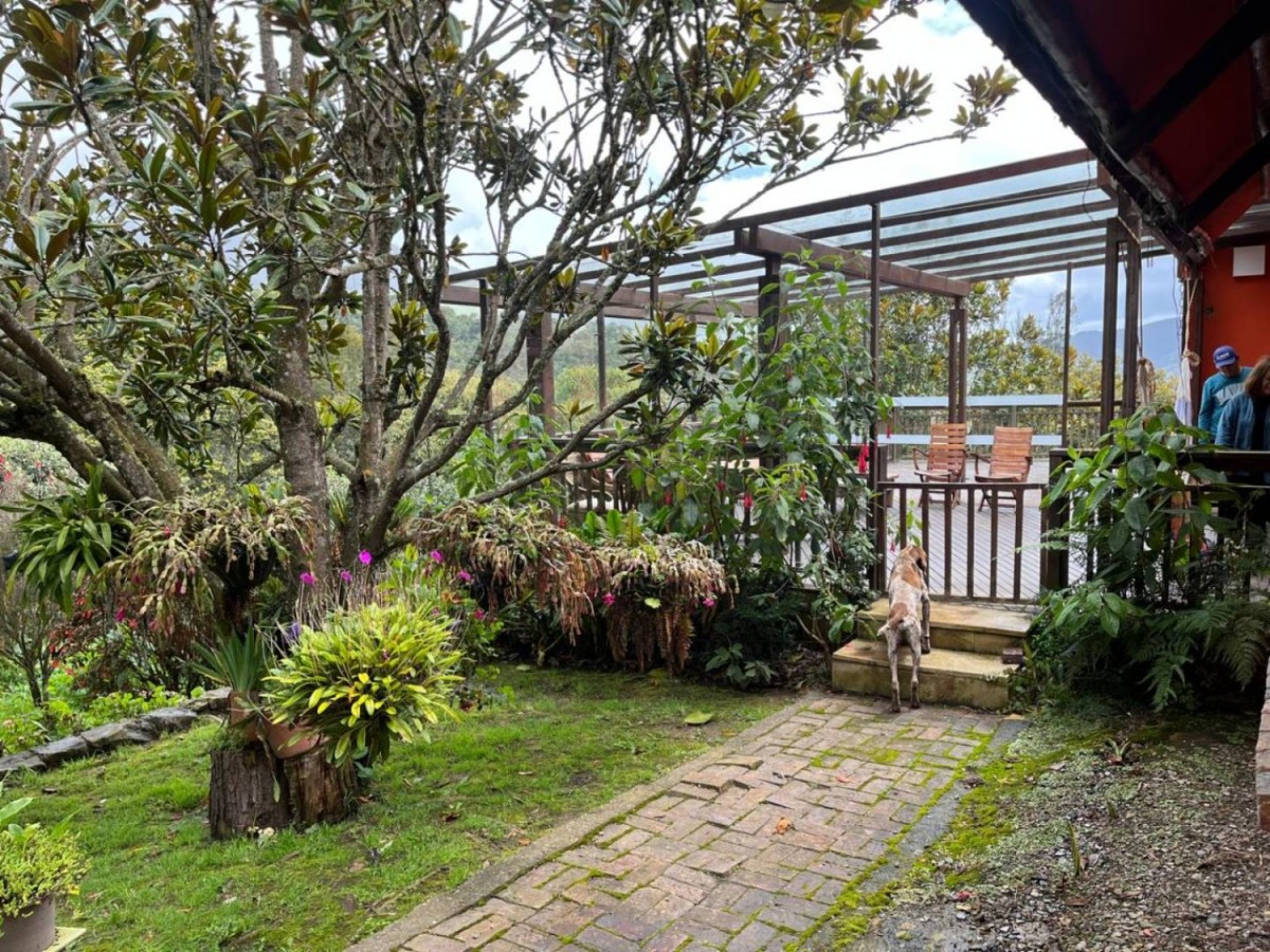 Casa en venta en Centro, La Calera · foto 6 de 23