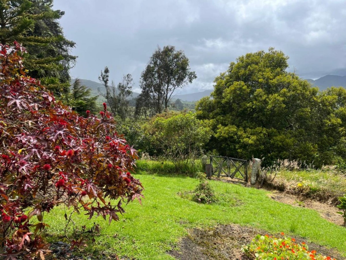 Casa en venta en Centro, La Calera · foto 20 de 23