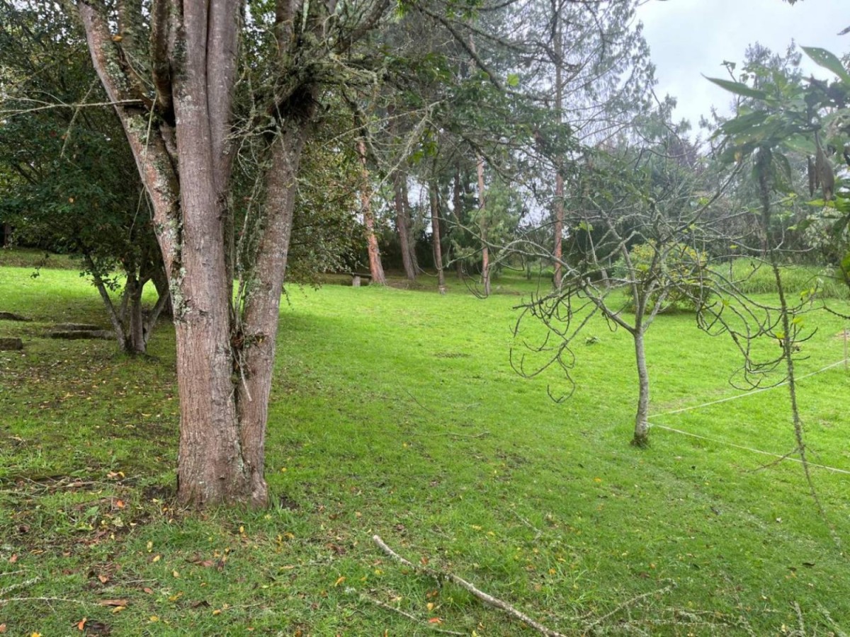 Casa en venta en Centro, La Calera · foto 22 de 23