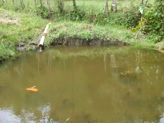 Finca en venta en Guarne, 114 m² · foto 13 de 21