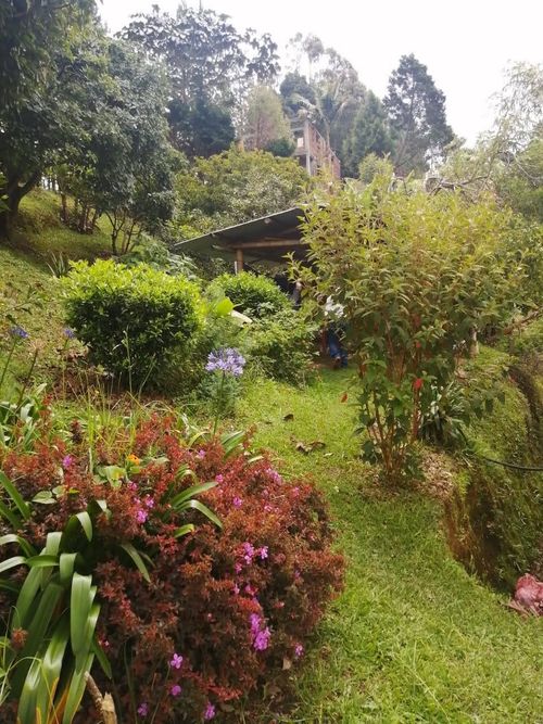 Finca en venta en Guarne, 114 m² · foto 16 de 21