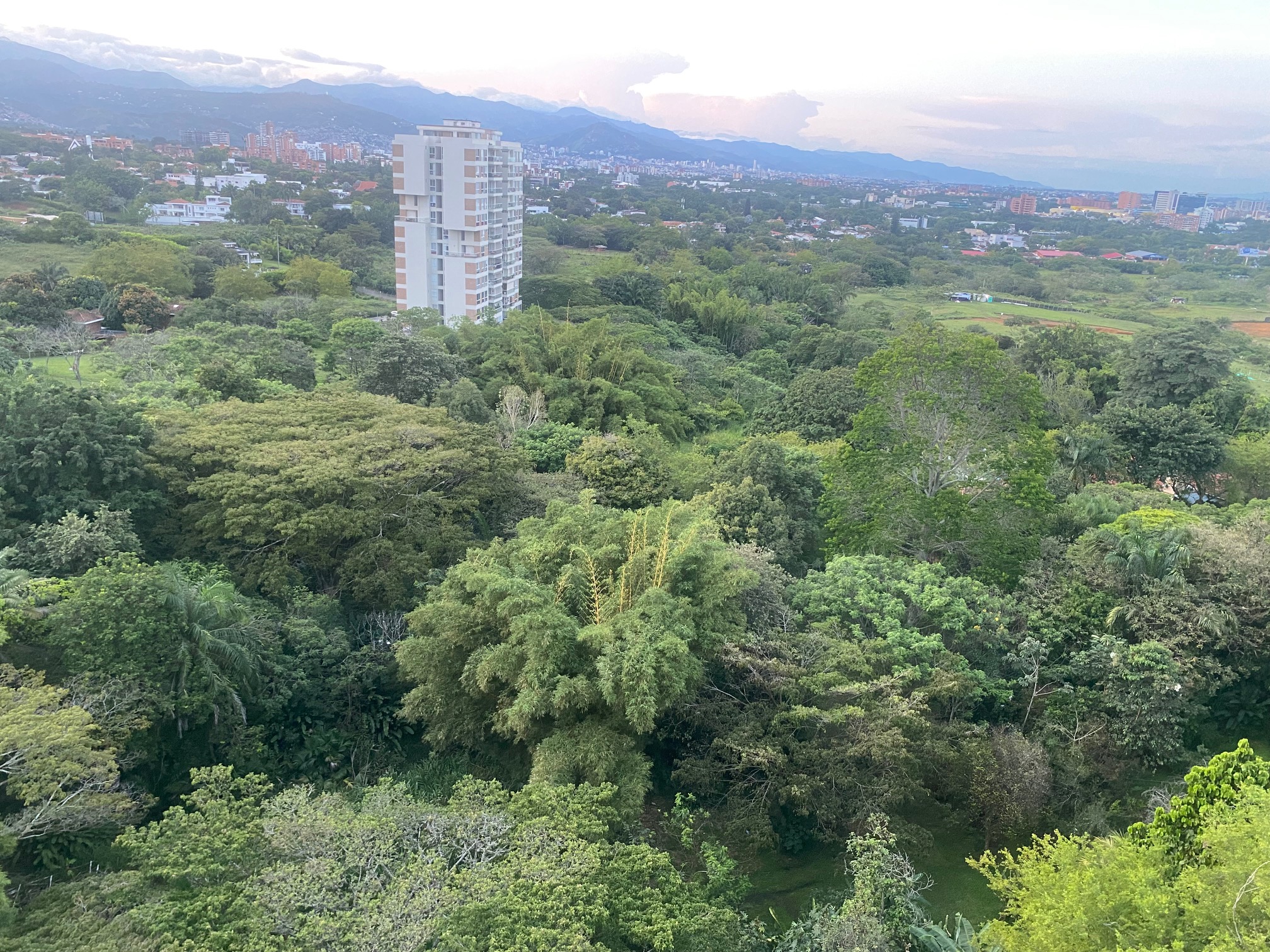 Apartamento en Arriendo en Pance alto, Cali