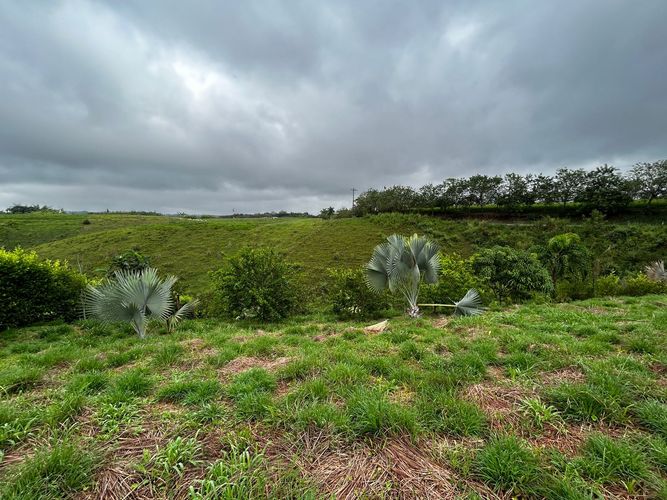 Lote en venta en Cerritos, Pereira, 2000 m² · foto 4 de 18