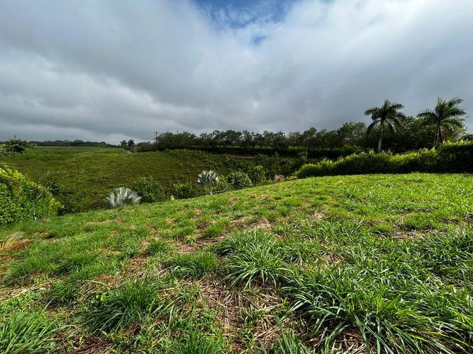 Lote en venta en Cerritos, Pereira, 2000 m² · foto 5 de 18