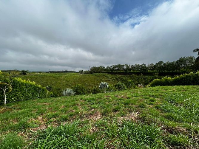 Lote en venta en Cerritos, Pereira, 2000 m² · foto 7 de 18
