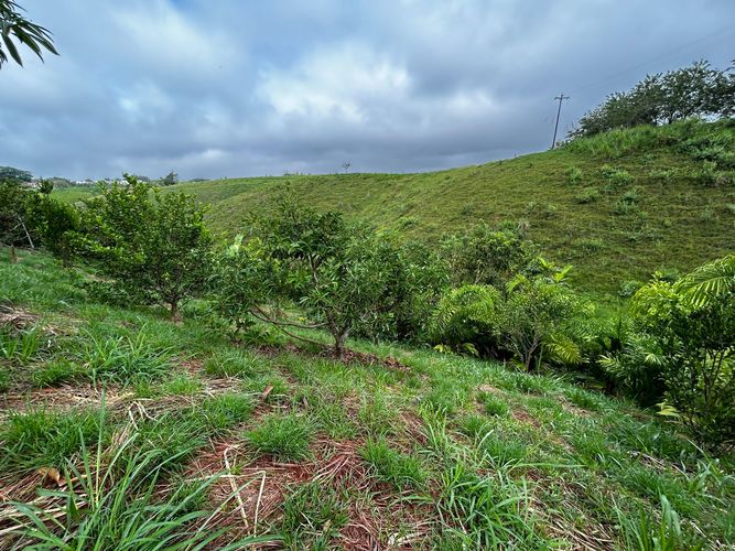 Lote en venta en Cerritos, Pereira, 2000 m² · foto 9 de 18