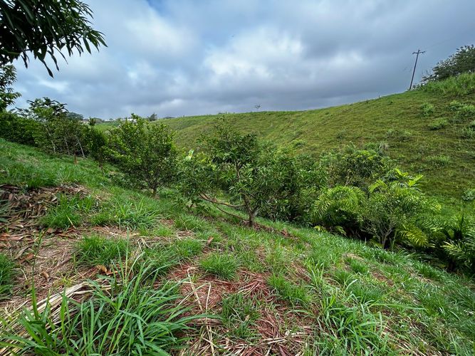 Lote en venta en Cerritos, Pereira, 2000 m² · foto 10 de 18