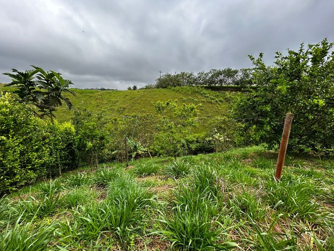 Lote en venta en Cerritos, Pereira, 2000 m² · foto 11 de 18