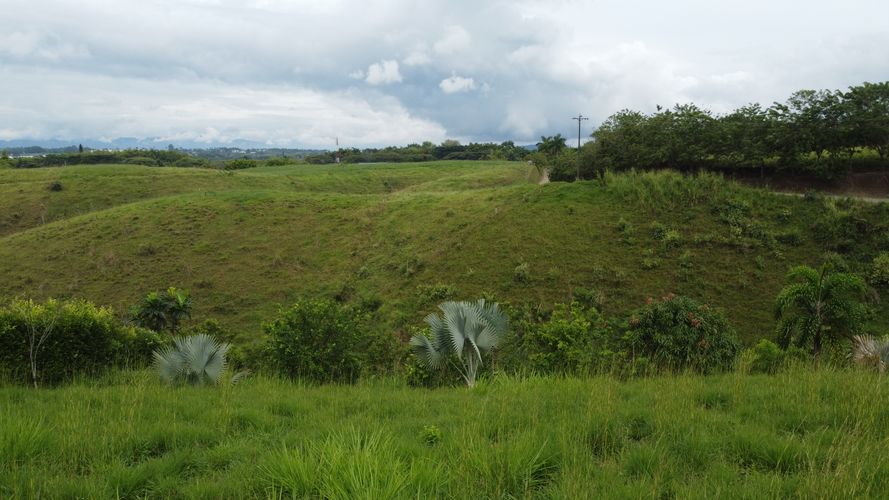 Lote en venta en Cerritos, Pereira, 2000 m² · foto 15 de 18