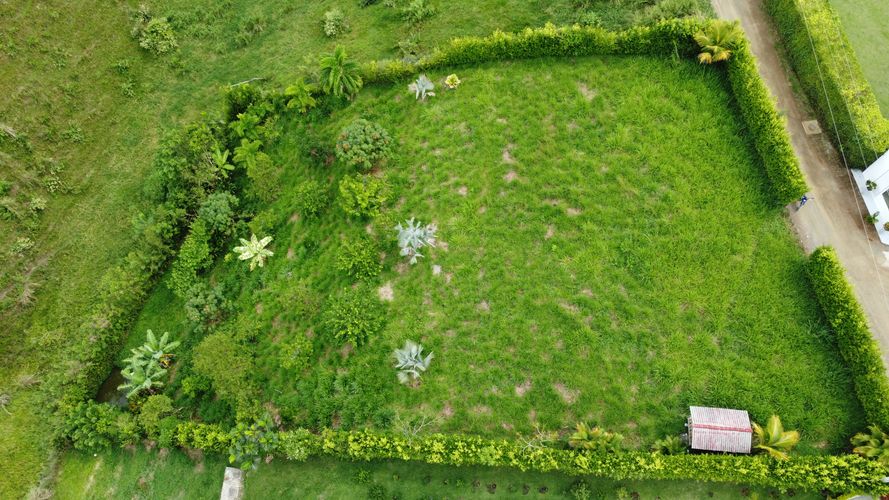 Lote en venta en Cerritos, Pereira, 2000 m² · foto 18 de 18
