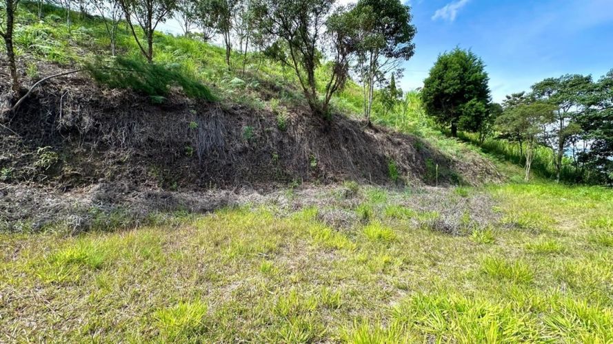 Lote en venta en La Cuenca, Sabaneta, 7035 m² · foto 11 de 16