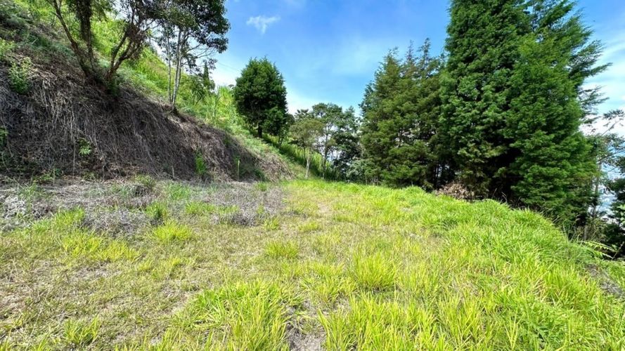 Lote en venta en La Cuenca, Sabaneta, 7035 m² · foto 15 de 16
