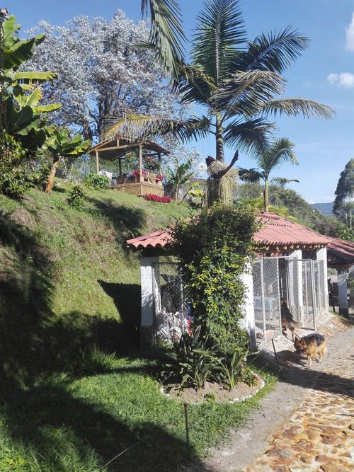 Finca en venta en San Miguel, La Ceja, 300 m² · foto 2 de 18