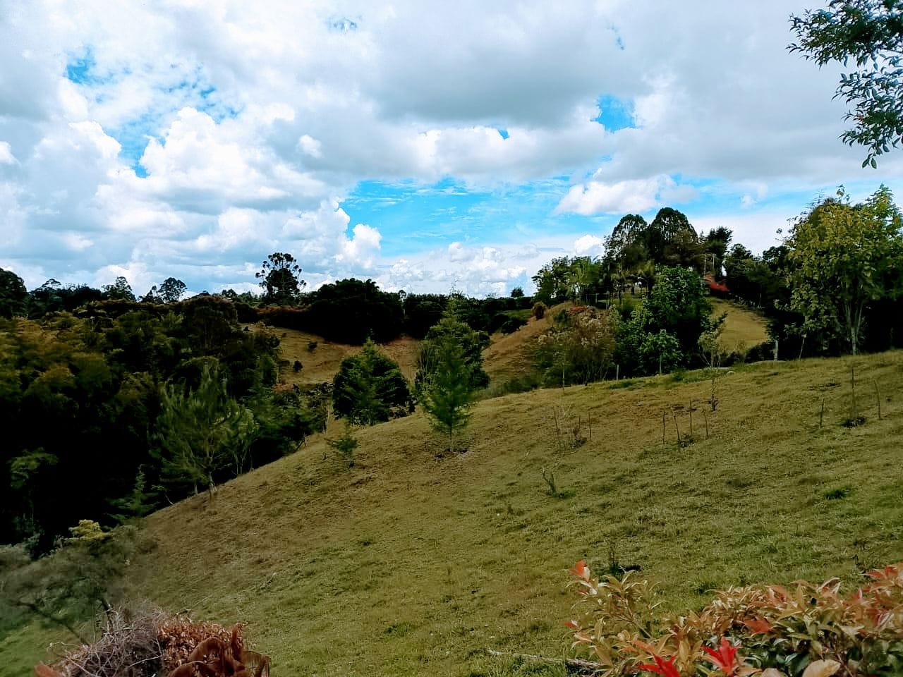 Land in San Antonio de Pereira (3400 m²) for Sale