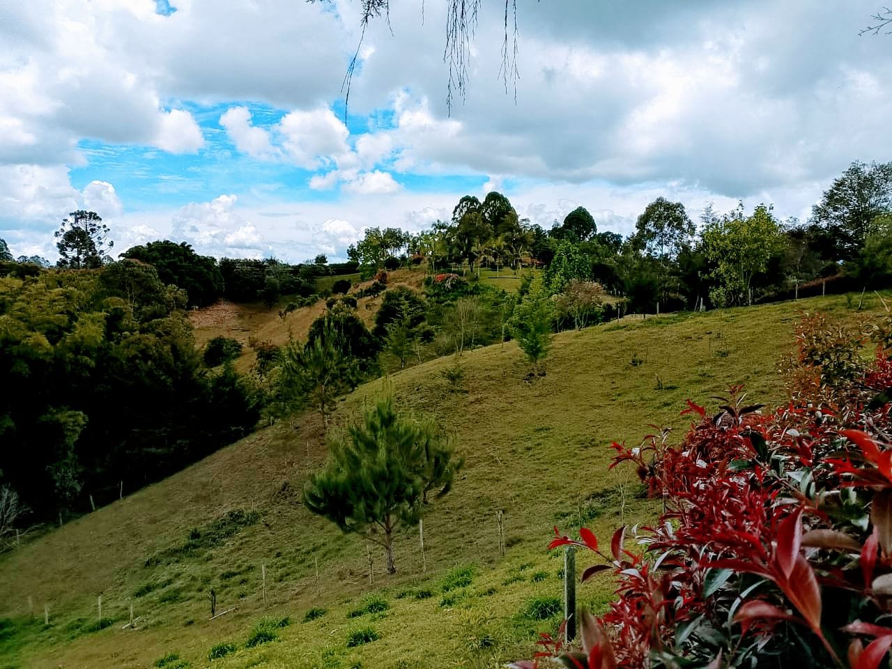 Land in San Antonio de Pereira (3400 m²) for Sale - 2