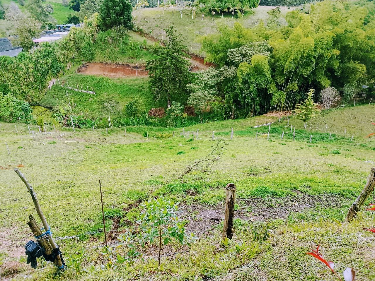 Land in San Antonio de Pereira (3400 m²) for Sale - 3