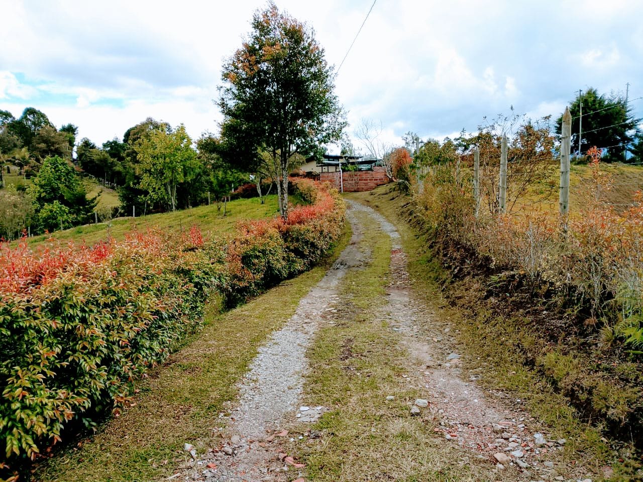 Land in San Antonio de Pereira (3400 m²) for Sale - 4