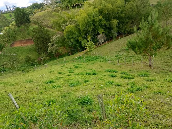 Lote en venta en San Antonio De Pereira, Rionegro, 3400 m² · foto 7 de 8