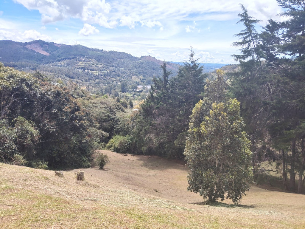 Land in Don diego for Sale - 2