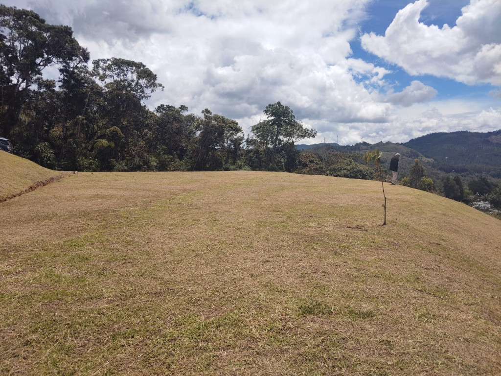 Land in Don diego for Sale - 3