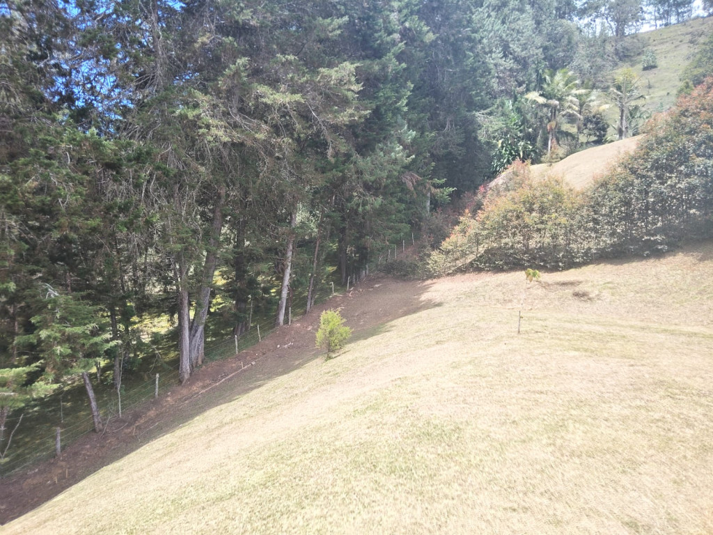 Land in Don diego for Sale - 4