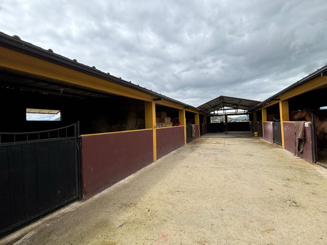 Casa en venta en San Jose De La Concepcion, La Calera · foto 23 de 24