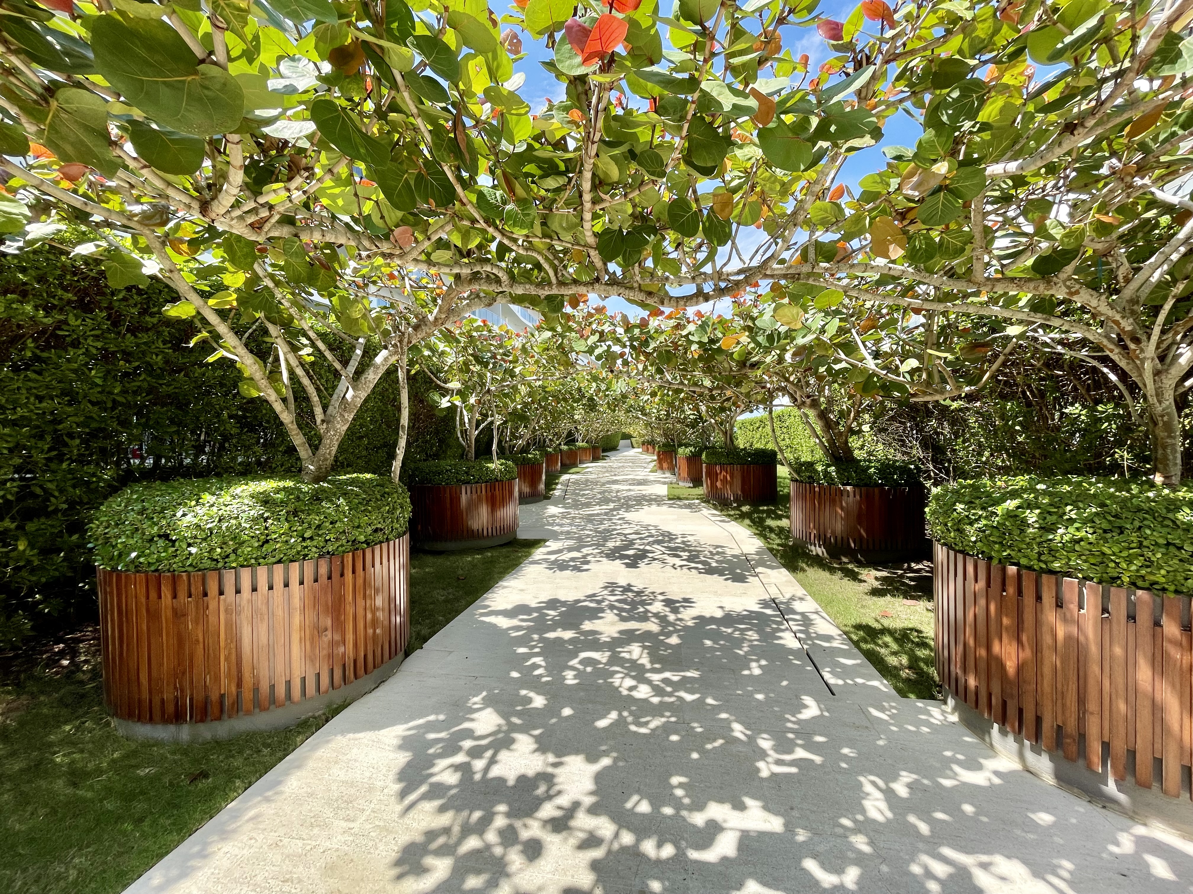 Apartamento en venta en Manzanillo, Cartagena · foto 23 de 24
