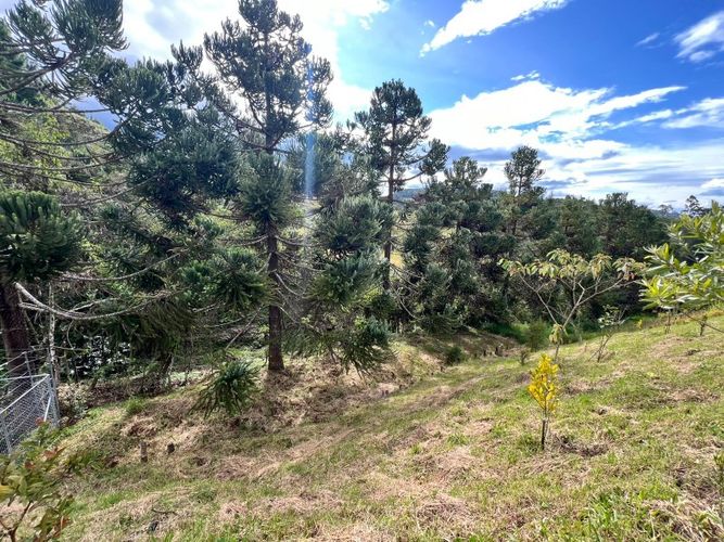 Lote en venta en Lejos Del Nido, El Retiro, 1841 m² · foto 7 de 18