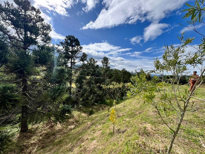 Lote en venta en Lejos Del Nido, El Retiro, 1841 m² · foto 8 de 18