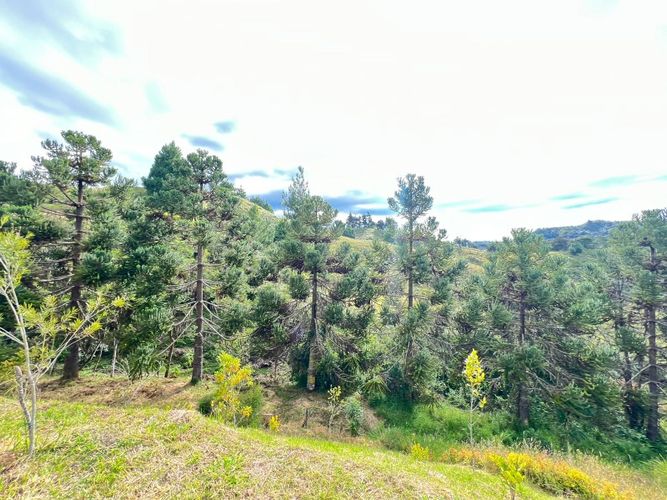 Lote en venta en Lejos Del Nido, El Retiro, 1841 m² · foto 13 de 18