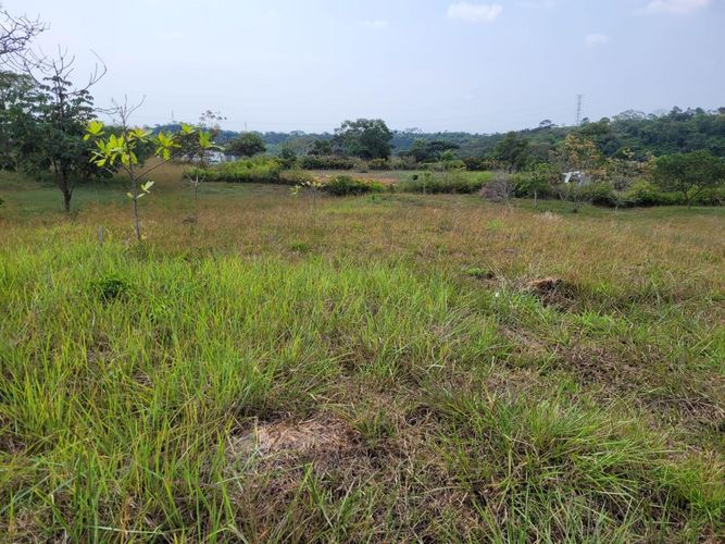 Lote en venta en Pance, Cali, 6 m² · foto 2 de 7