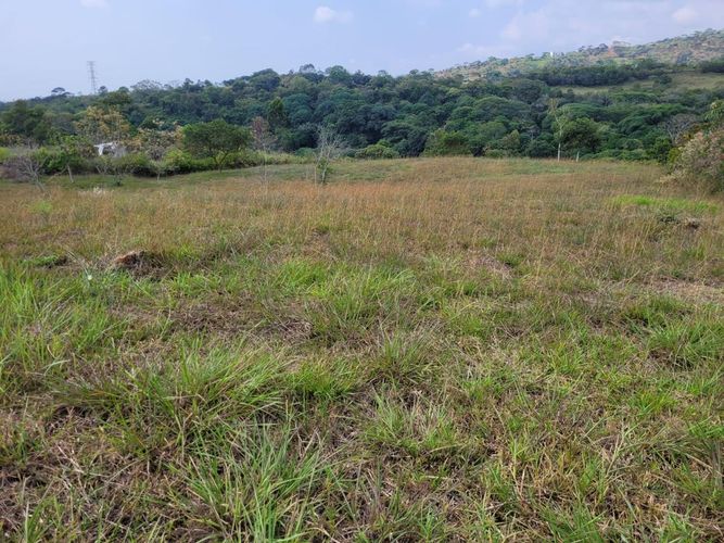 Lote en venta en Pance, Cali, 6 m² · foto 3 de 7