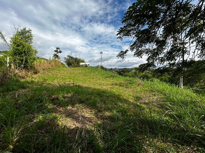 Lote en venta en Morelia, Pereira, 1621 m² · foto 3 de 11
