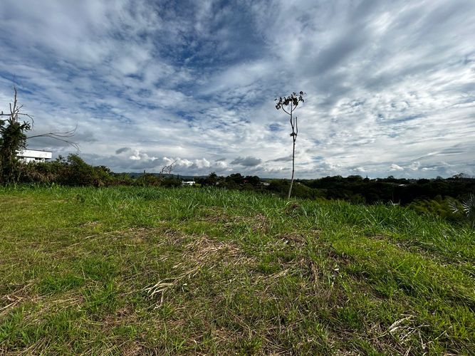 Lote en venta en Morelia, Pereira, 1621 m² · foto 4 de 11