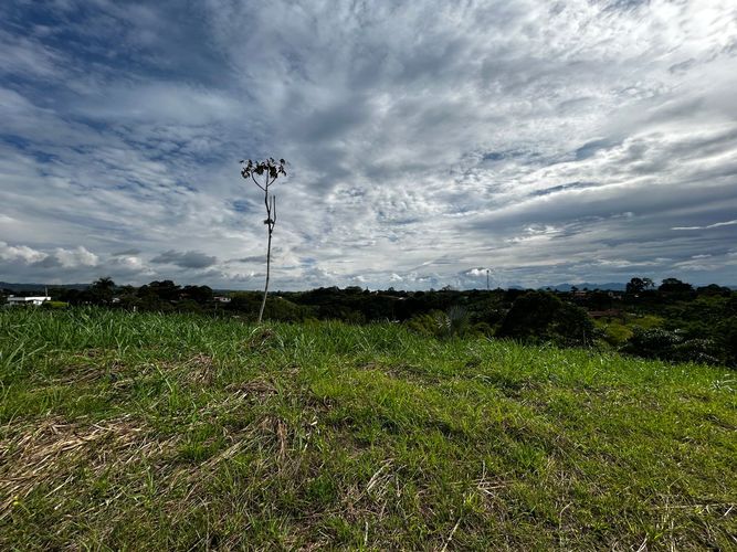Lote en venta en Morelia, Pereira, 1621 m² · foto 5 de 11