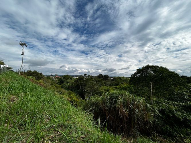 Lote en venta en Morelia, Pereira, 1621 m² · foto 7 de 11