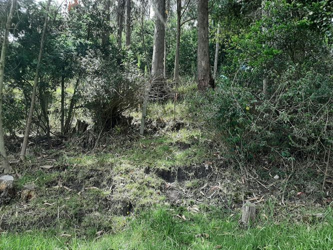 Lote en venta en Sector Norte, Tocancipá, 910 m² · foto 12 de 23