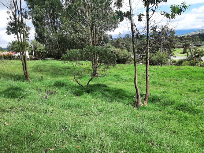 Lote en venta en Sector Norte, Tocancipá, 910 m² · foto 15 de 23