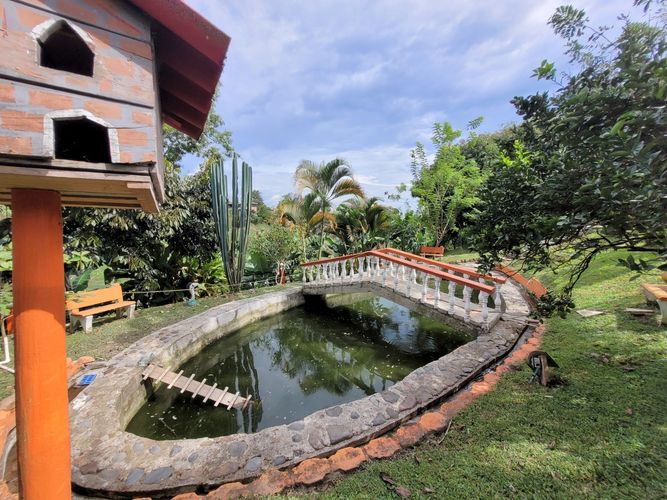 Finca en venta en Condina, Pereira, 957 m² · foto 6 de 24
