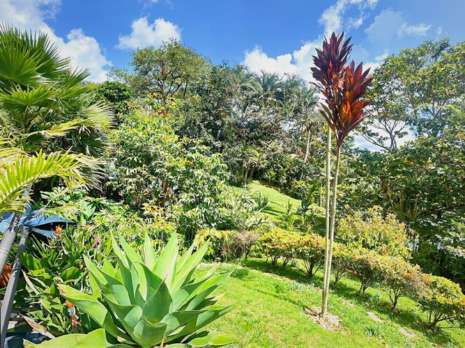 Apartamento de 3 alcobas en venta en El Faro, Rionegro, 82 m² · foto 16 de 17