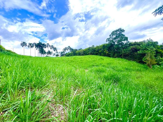 Lote en venta en Cerritos, Pereira, 2000 m² · foto 2 de 4