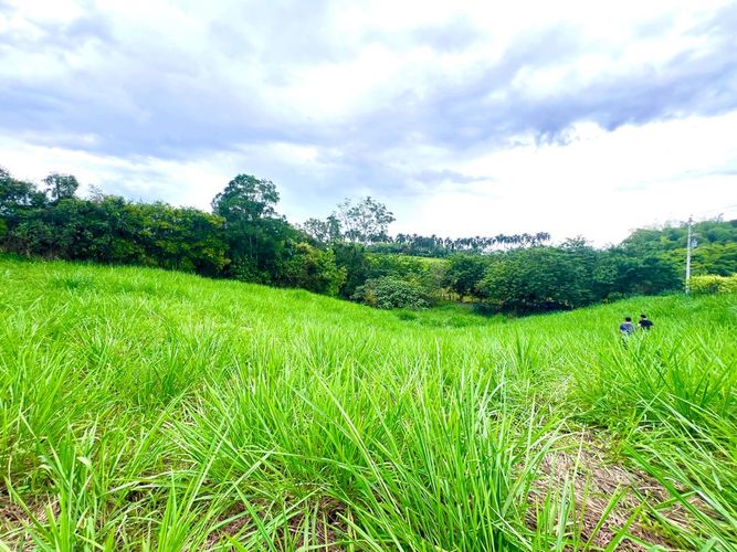 Lote en venta en Cerritos, Pereira, 2000 m² · foto 3 de 4