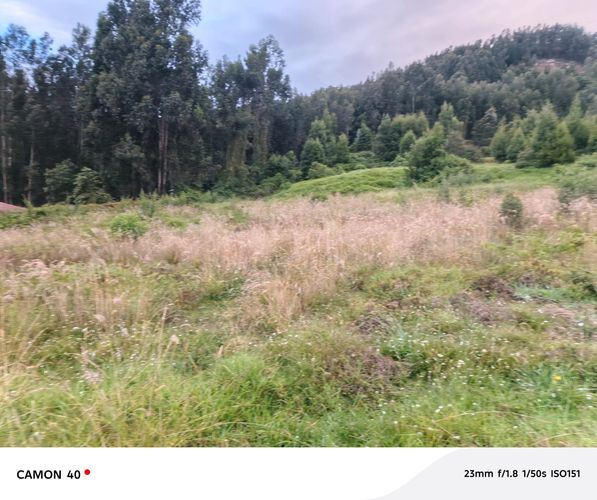 Lote en venta en Tibito, Tocancipá, 3200 m² · foto 2 de 6