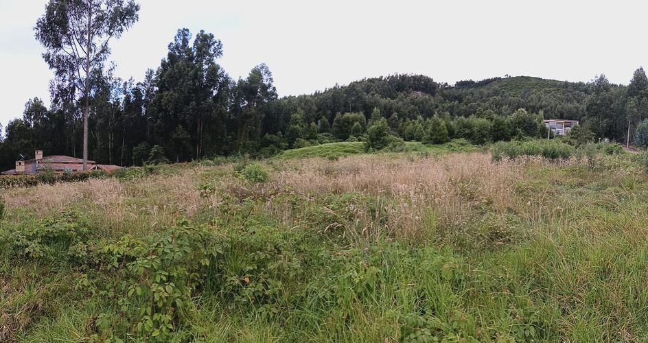Lote en venta en Tibito, Tocancipá, 3200 m² · foto 6 de 6