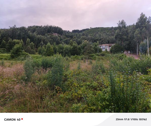 Lote en venta en Tibito, Tocancipá, 3200 m² · foto 4 de 6